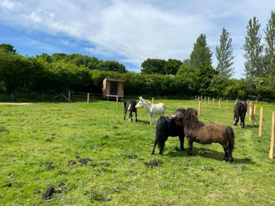 Neddys Rest Luxury Horsebox Stay Battle Bagian luar foto
